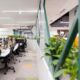 Knight Frank indoor plants and workstations